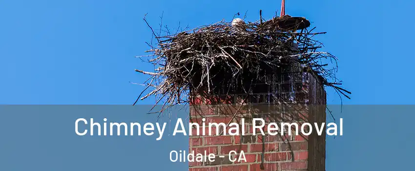  Chimney Animal Removal Oildale - CA
