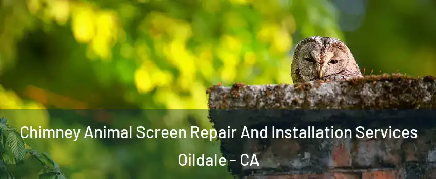  Chimney Animal Screen Repair And Installation Services Oildale - CA