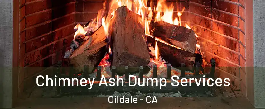  Chimney Ash Dump Services Oildale - CA