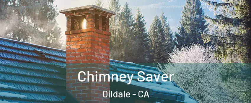  Chimney Saver Oildale - CA