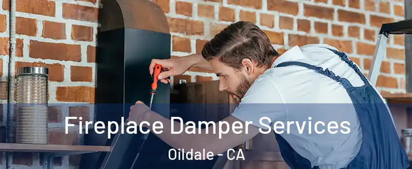  Fireplace Damper Services Oildale - CA