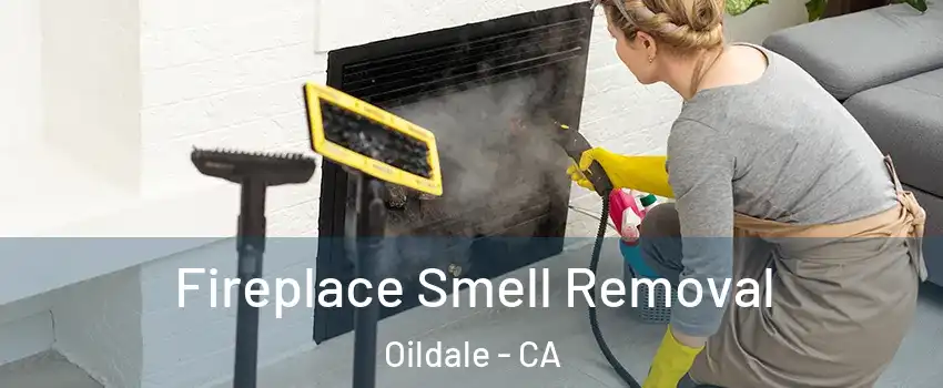  Fireplace Smell Removal Oildale - CA