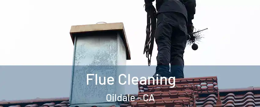  Flue Cleaning Oildale - CA