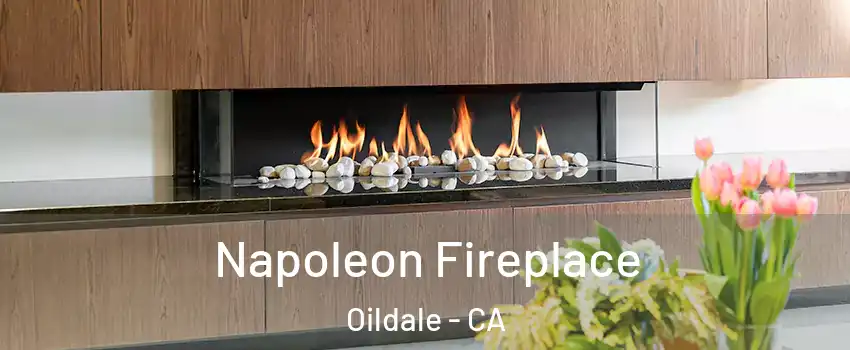  Napoleon Fireplace Oildale - CA